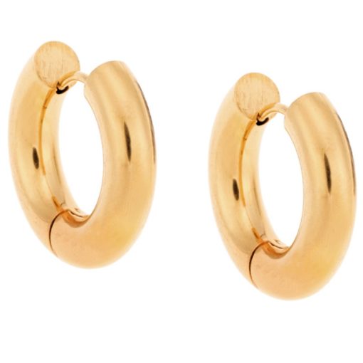 Σκουλαρίκια Κρίκοι SENZA Steel Gold Plated 2 cm