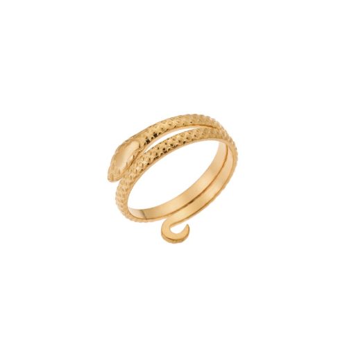 Δαχτυλίδι Senza Gold Plated Steel, φιδάκι με διπλή περιστροφή