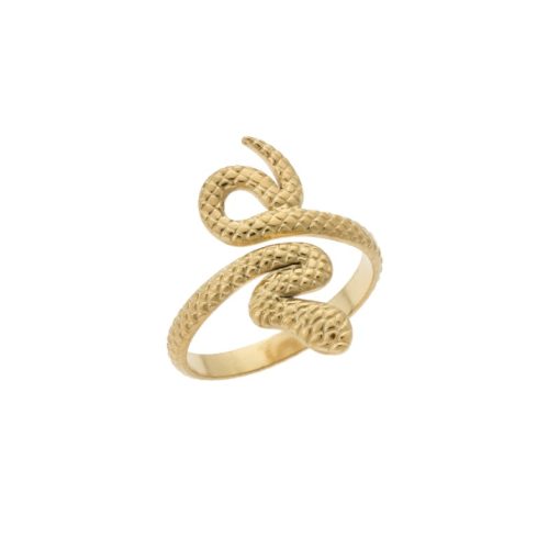 Δαχτυλίδι Senza Gold Plated Steel, με φιδάκι