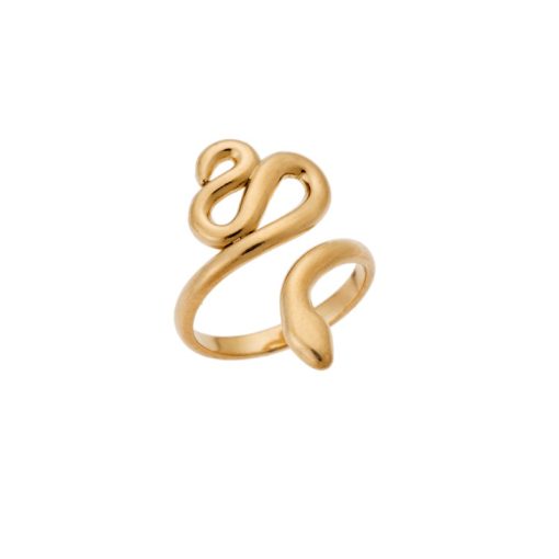 Δαχτυλίδι Senza Gold Plated Steel, με φιδάκι