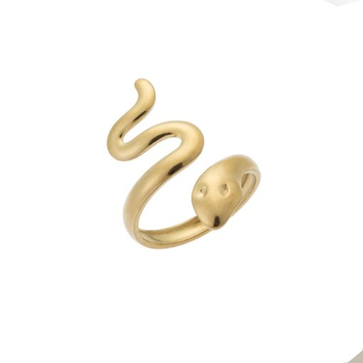 Δαχτυλίδι Senza Gold Plated Steel, με φιδάκι