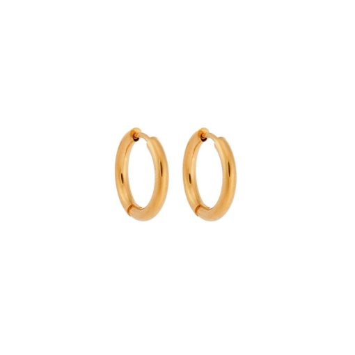 Σκουλαρίκια Γυναικεία SENZA Gold Plated Steel, κρικάκι 1.6 cm