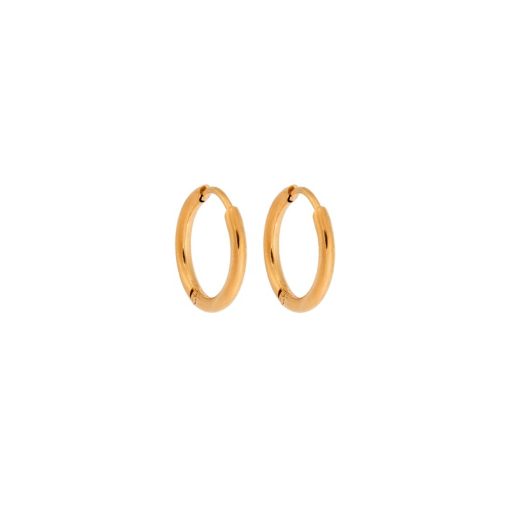 Σκουλαρίκια Γυναικεία SENZA Gold Plated Steel, κρικάκι 1.5 cm